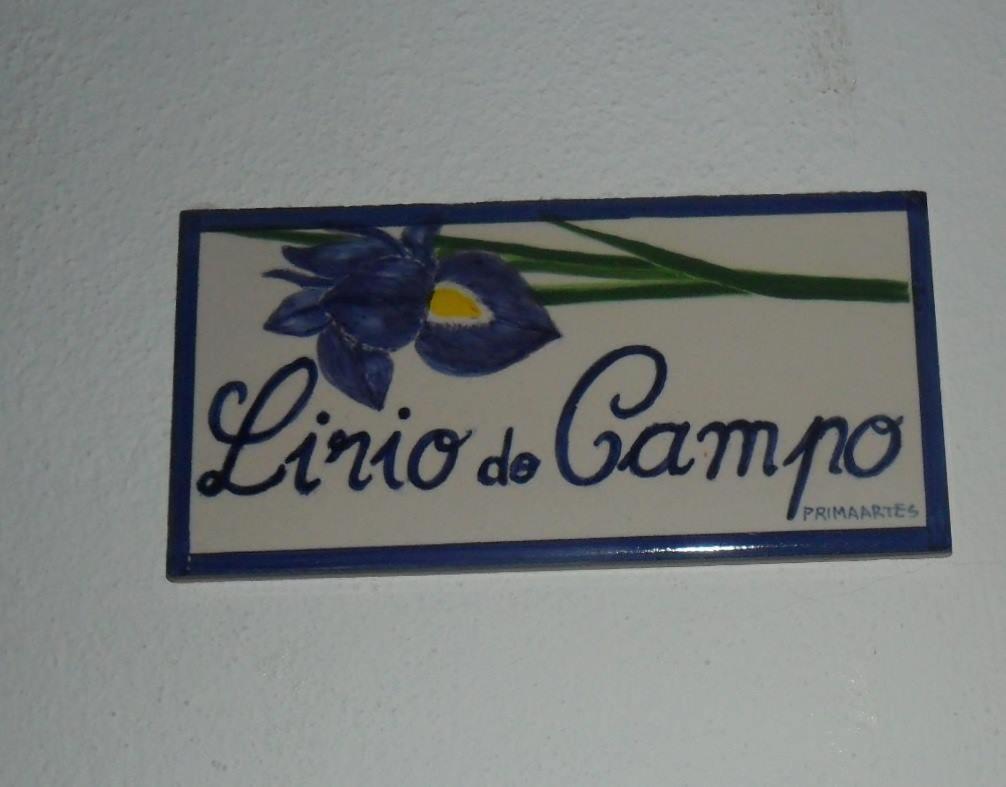 Apartamentos Bau-Doce Cercal do Alentejo 외부 사진