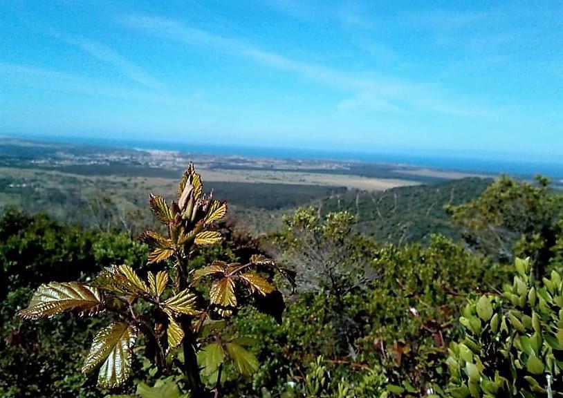 Apartamentos Bau-Doce Cercal do Alentejo 외부 사진